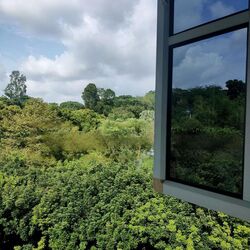 White House Park (D10), Detached #464110351